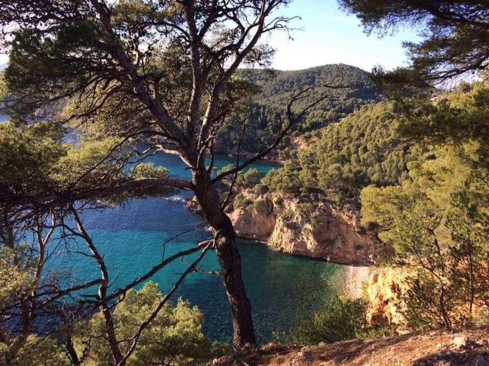 Cocody * Bandol
